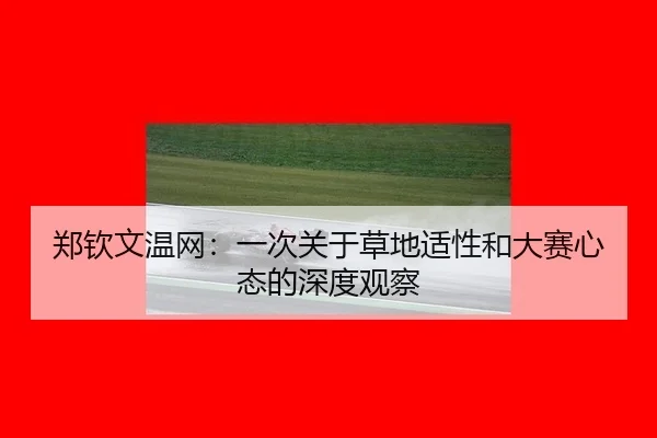 zheng-qin-wen-wen-wang-yi-ci-guan-yu-cao-di-shi-xing-he-da-sai-xin-tai-de-shen-du-guan-cha-2-640.jpg